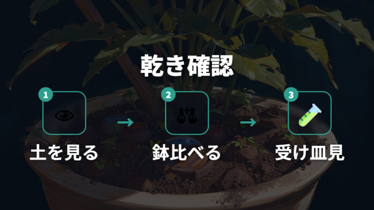 土の乾き具合で判断するコツ