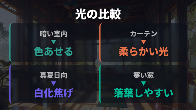 日当たり不足と置き場所の見直しで葉色を比べる