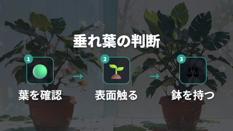 葉が垂れるのは水やりすぎと水切れのどっちか