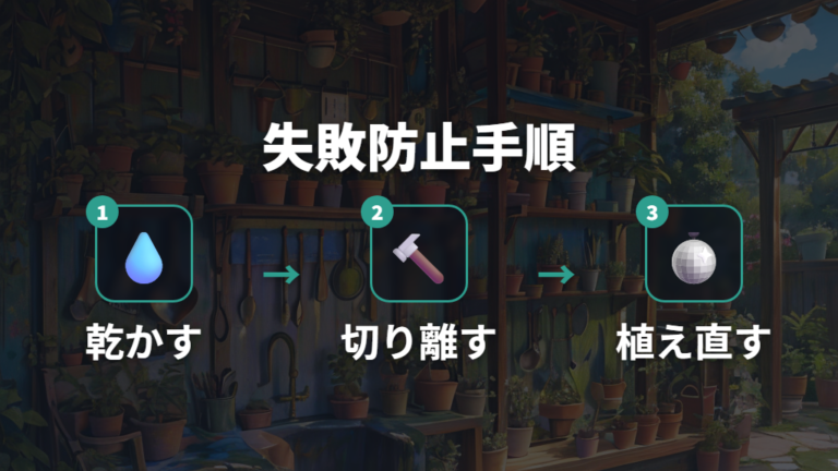 失敗を防ぐ株分けの手順は乾かす工程まで含める