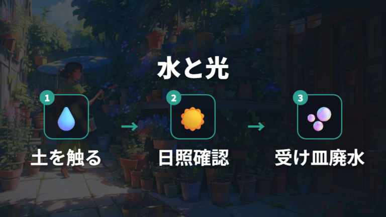 水やりと日当たりの整え方で徒長と根腐れを防ぐ