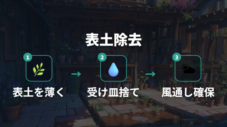 白いカビを見つけた時の対処法は表土除去から始める