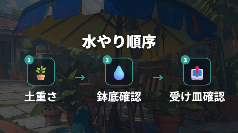 季節ごとの水やり頻度は回数より土の乾き具合を優先する