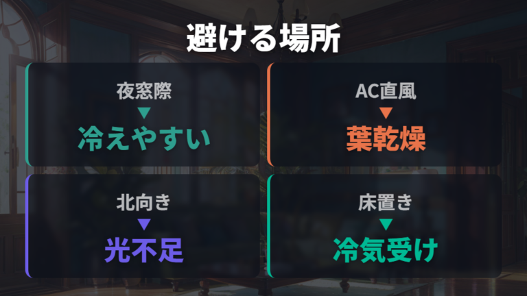 冬の室内で避けたい置き場所を確認する