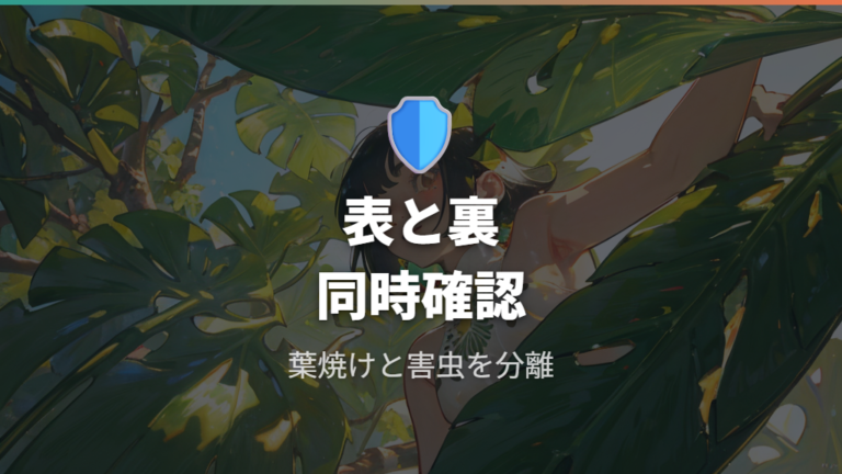 葉焼けや病害虫との見分け方は色の出方と葉裏を見る