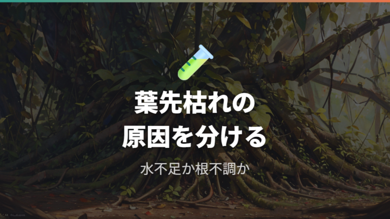 葉先が枯れる原因を見分ける