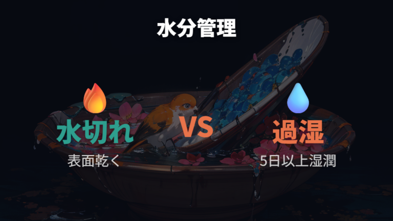 水切れと過湿を防ぐ管理はメリハリが大切