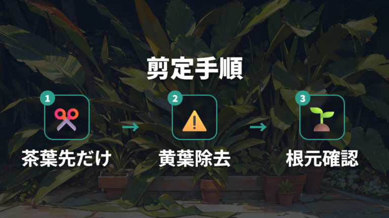 枯れた葉を切るタイミングと切る位置