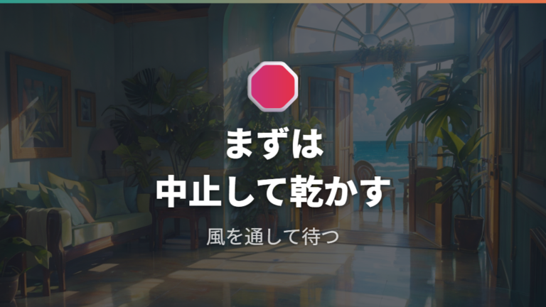 水をやりすぎた直後の対処法