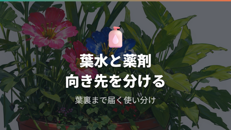 室内でも使いやすい害虫対策は葉水と薬剤を使い分ける