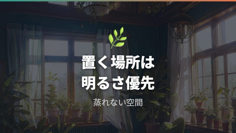 置き場所で葉姿を保つコツは明るさと風通し