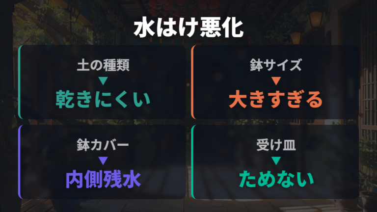 水はけを悪くする土と鉢の原因を整理する