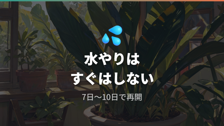 株分け直後の水やり管理で根腐れを避ける
