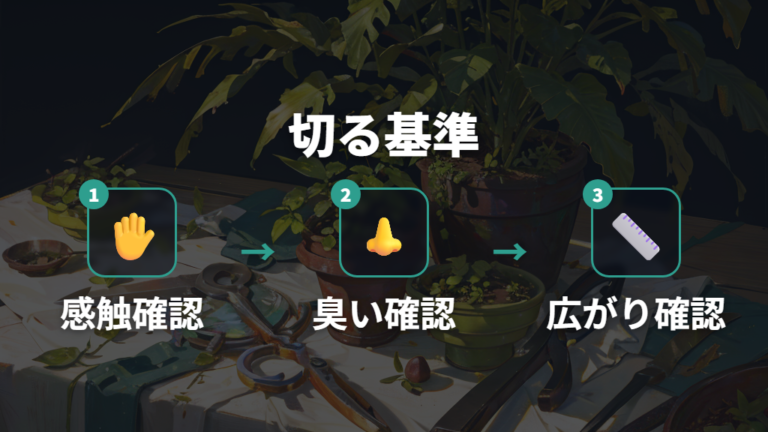 黒い新芽を切る判断基準は質感と広がりで決める