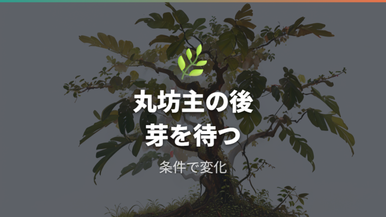 剪定で枝が増えた実例は丸坊主後の新芽で見る