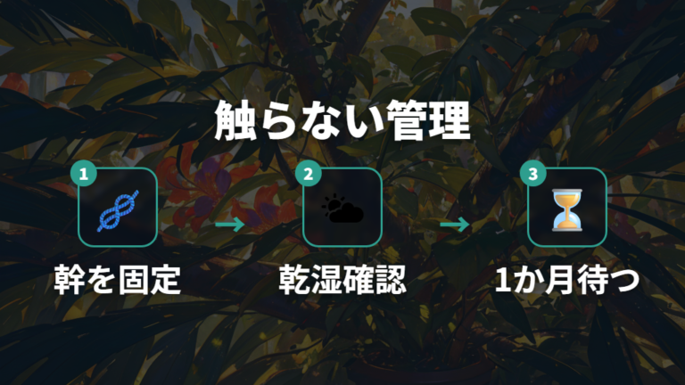 根が出ない人の対処例は触りすぎず固定して待つ