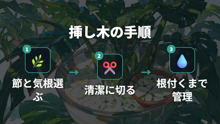 剪定した茎を挿し木で増やす基本手順