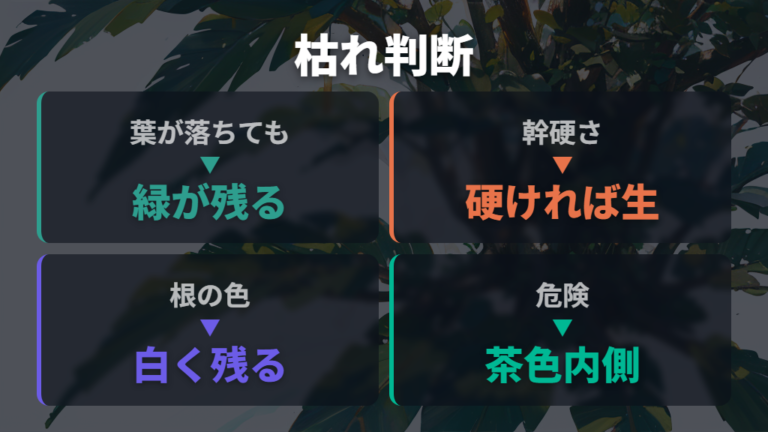 落葉と枯れの判断ポイントは新芽と幹にある