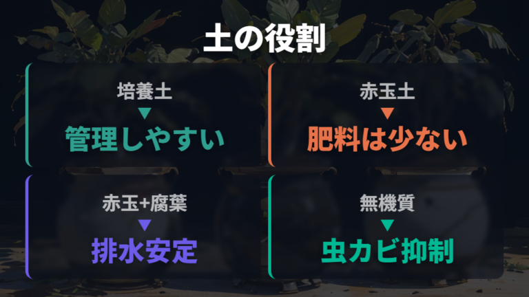 培養土と赤玉土の違いを土の役割で比べる