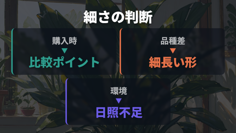 細い葉の相談事例から品種の細さと徒長を分ける