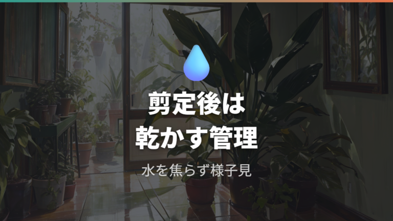 枯れた部分を残さないための剪定後ケア