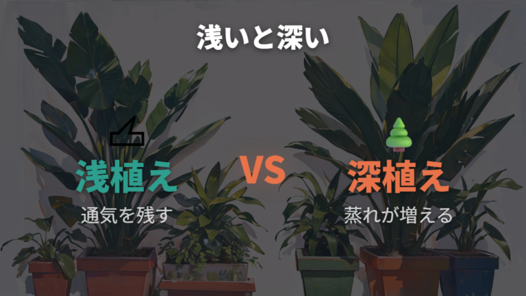 浅植えと深植えの違いはどっちを優先するべきか