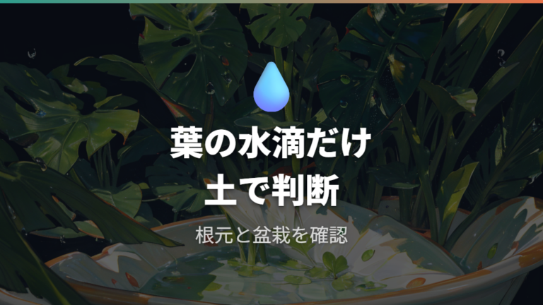 葉先の水滴は水のやりすぎなのか