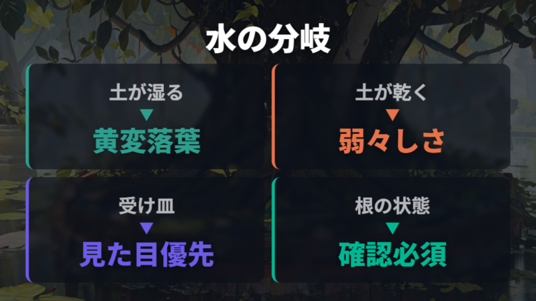 水やりと根腐れによる葉色変化はどう違う?