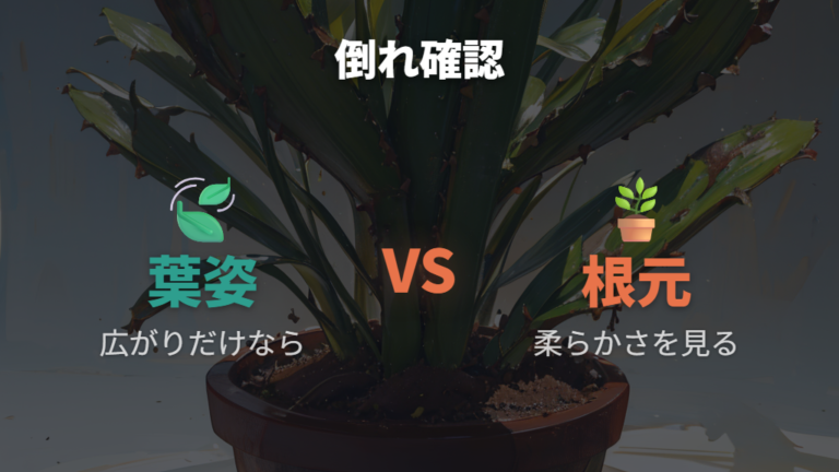 根腐れや葉倒れの見分け方は土と根元から確認する