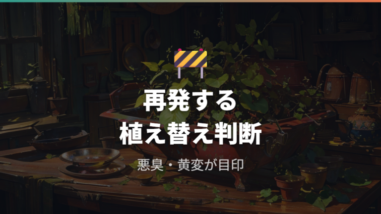 植え替えが必要になるサインを見逃さない