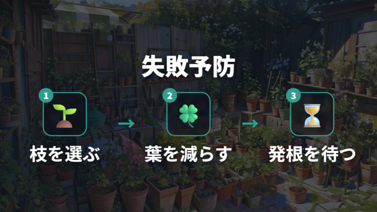 挿し木で失敗しやすい育て方を手順で避ける
