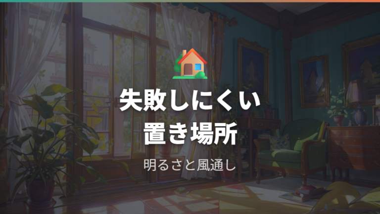 室内で失敗しにくい置き場所は明るさと風通しで選ぶ