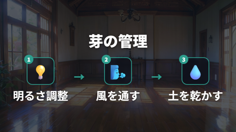 剪定後に枝を出す管理法は明るさと水やりを整える