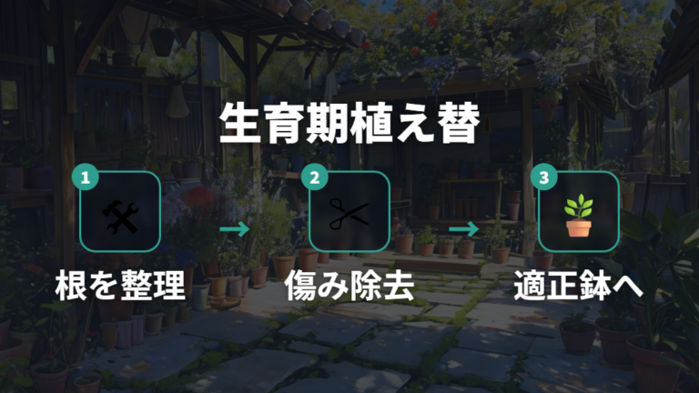 根を張らせる植え替え方法は生育期に根を整理する
