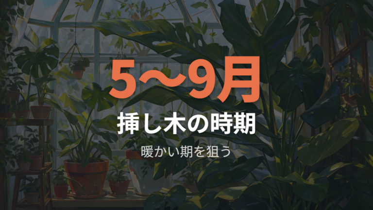 挿し木に向く時期と発根のコツを押さえる
