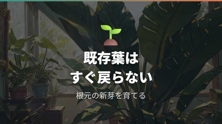 細くなった葉は元に戻るのかを先に判断する