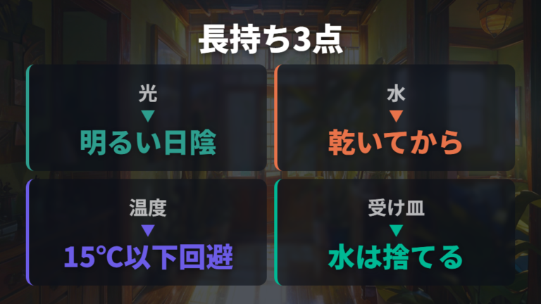 長生きさせる育て方の基本は光・水・温度の安定
