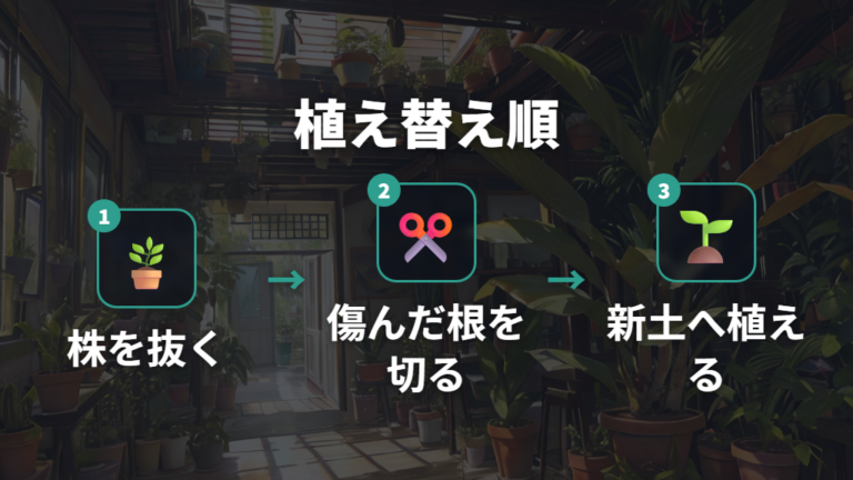 根腐れした株の植え替え手順を順番に進める