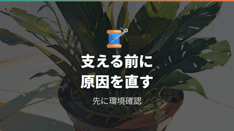 広がった葉を整える方法は支える前に原因を直す