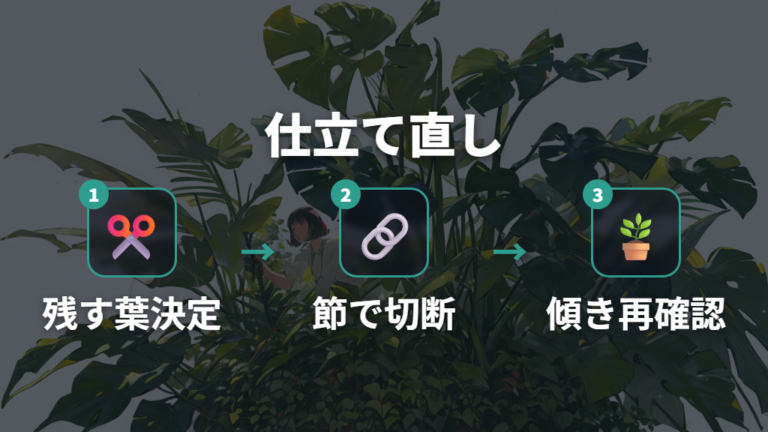 伸びすぎた茎の仕立て直し方を手順で確認する