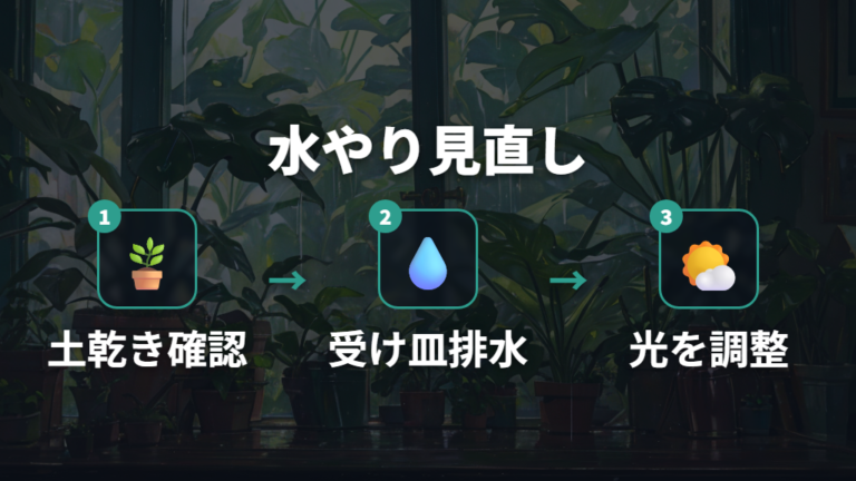 水やりと日当たりの見直しで根と新芽を守る