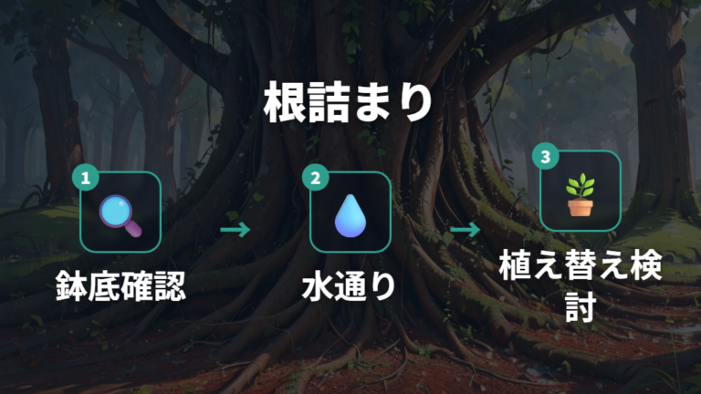 根詰まりと植え替えのサインは鉢底と水の通りで見る