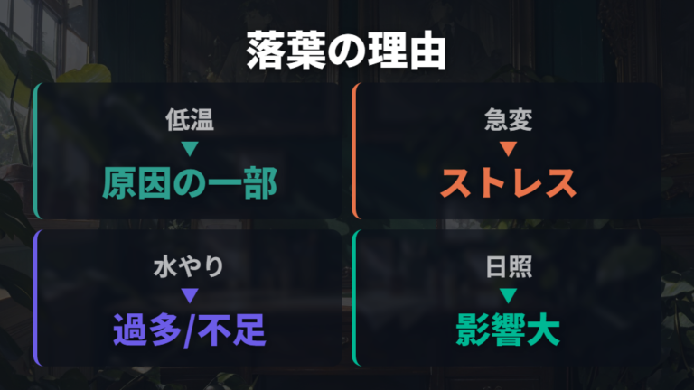 寒さで葉が落ちる原因は低温だけではない