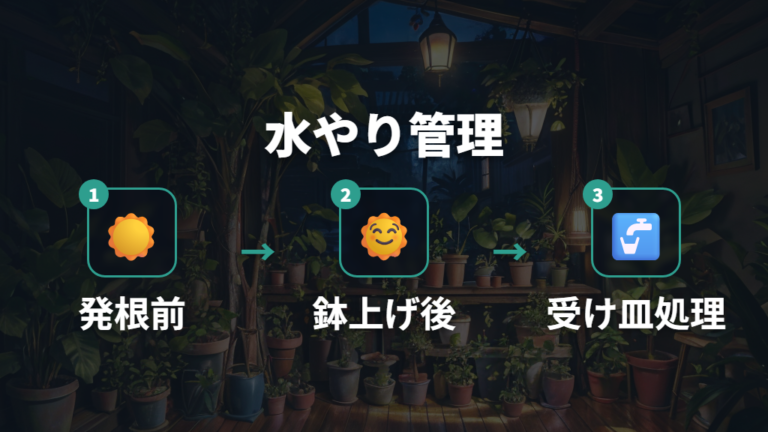 大きく育てる日当たりと水やりは段階で変える