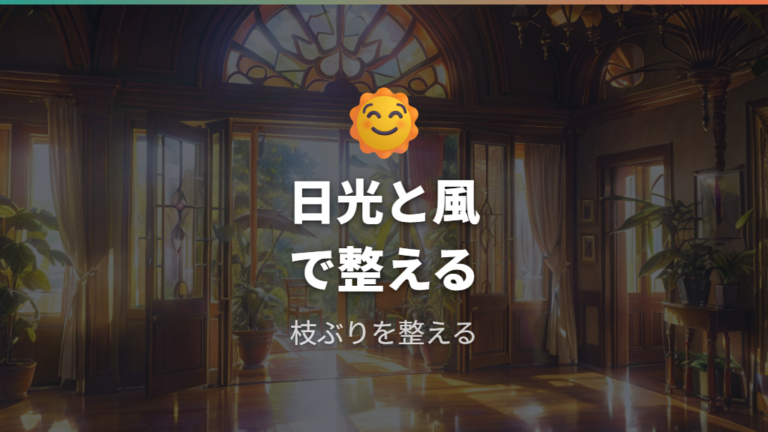 枝ぶりを整える育て方は日光と風通しを確保する
