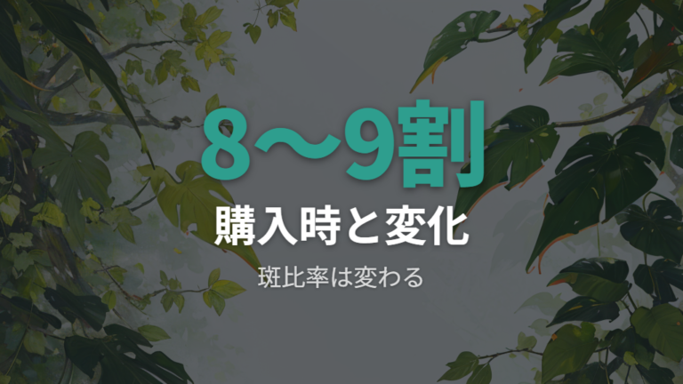 購入者の満足点と後悔点は斑の変化まで見て考える