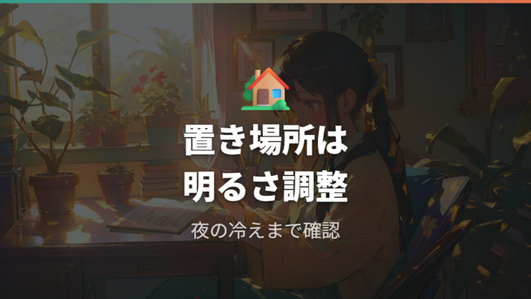 復活までに見直す置き場所と管理の基本