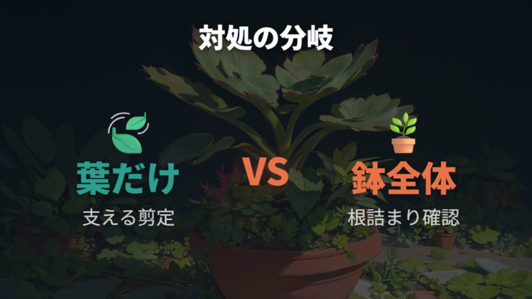 剪定や植え替えの判断基準は倒れ方と根詰まりで分ける