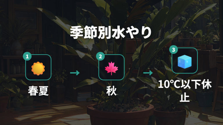 季節ごとの水やりで根を傷めない
