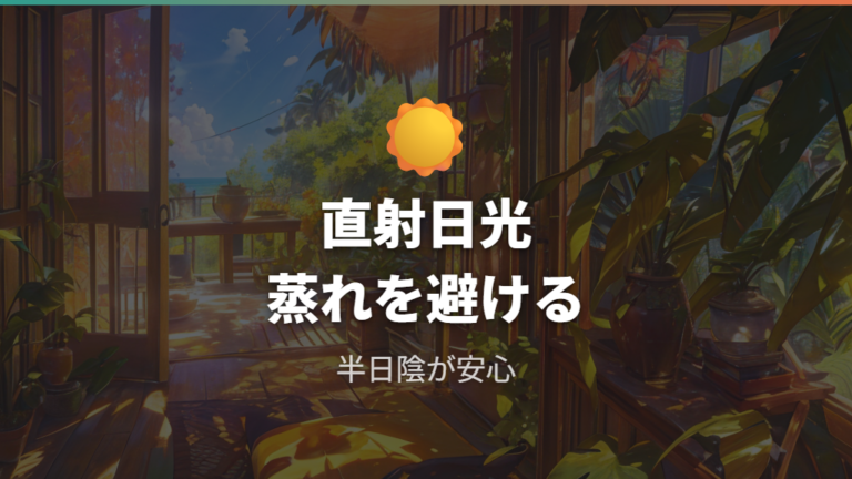 夏の暑さと直射日光対策は葉焼けと蒸れを防ぐ